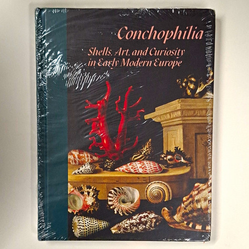 Conchophilia shells art - shells,, &