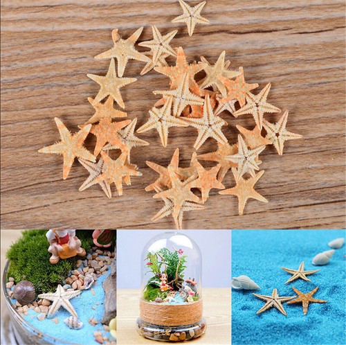 25pcs new cute - cute, mini