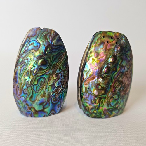 Vintage iridescent abalone - vintage,
