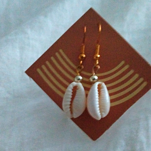White cowrie shell - cowrie,