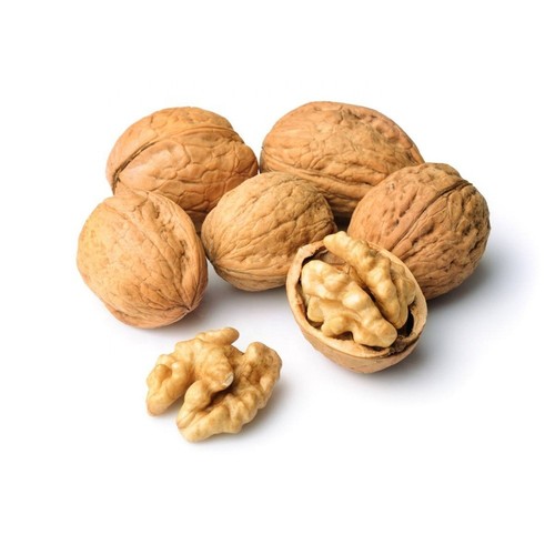 Whole walnuts shell - in,