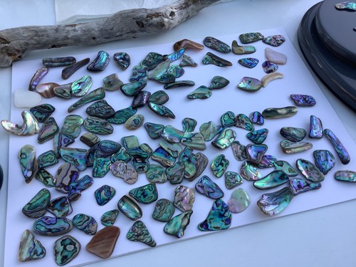 Abalone shell pieces 10g - , uk