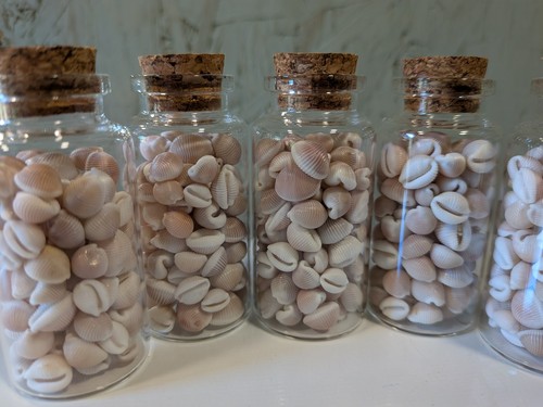 Vial groatie buckies trivia - 1, (trivia
