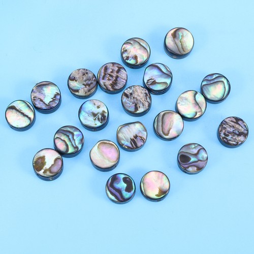 Assorted color abalone shell - color,