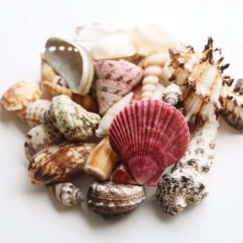 Mixed natural sea - natural, 400g