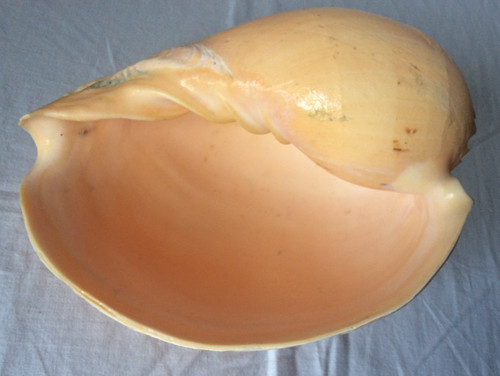 Large melon sea - sea,