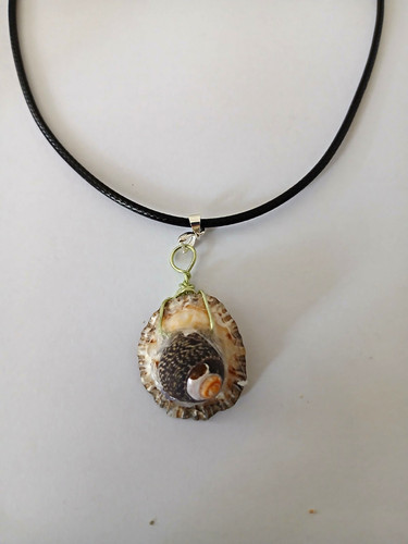 Round shell charm pendant - shell, cord