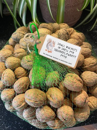 2kg small walnuts the shell - in,