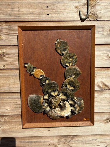 Vintage mid century mounted - vintage,