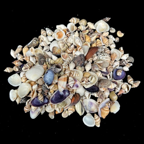 Assorted mixed micro craft - assorted,