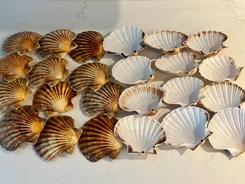Large south coast - 30,