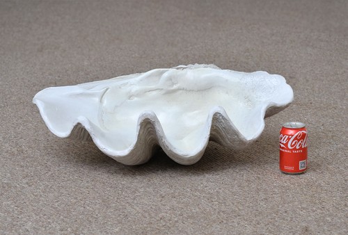 New resin large clam - large, shell