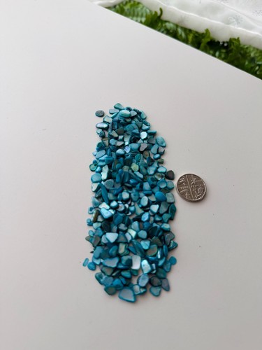 Abalone paua shell pieces - paua,