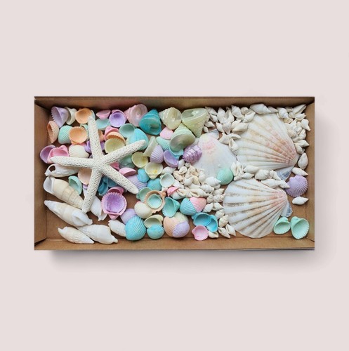 Mixed shell pastel - shell,