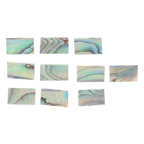 Durable natural abalone - durable,
