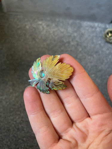 Vintage carved mother pearl - carved, of