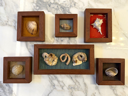 Set vintage framed real - of,