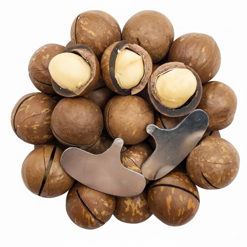 Macadamia nuts shell 500g - in,