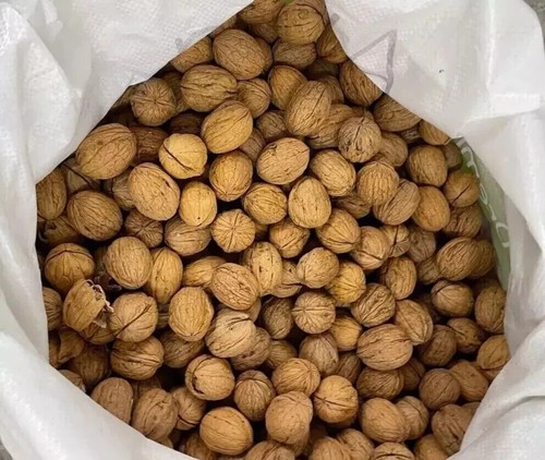 Walnuts shell whole - shell, 1kg