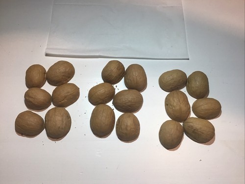 Walnut shells perfect halves - walnut,