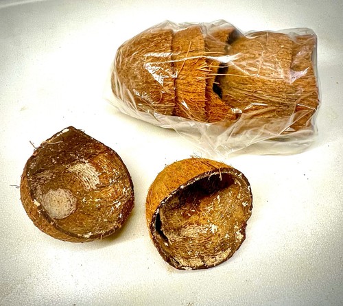 Coconut shell halves pack of - halves,