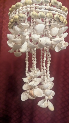Stunning eye catching seashell - stunning,