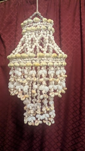 Stunning eye catching - stunning, seashell