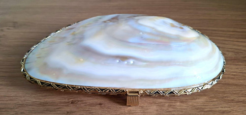 Very rare vintage real - rare, shell