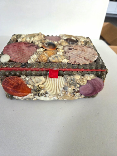 Shell covered nautical - shell,