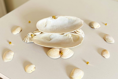 Handmade shell jewellery dish - jewellery,